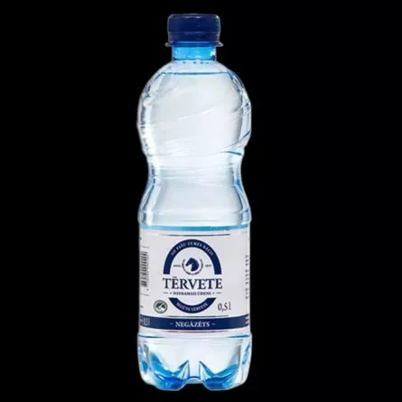 #17 Dzeramais ūdens Tērvete NEGĀZĒTS 0,5 L